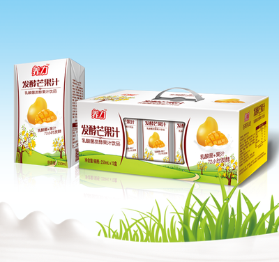 250mL发酵芒果汁